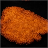 Wienerschnitzel los